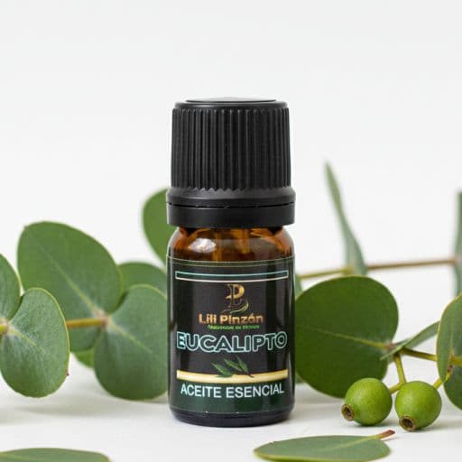 Aceite Esencial de Eucalipto imagen